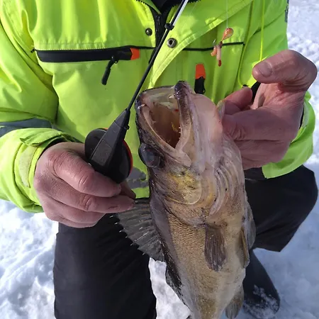 度假居 Vacation Tulikallio *